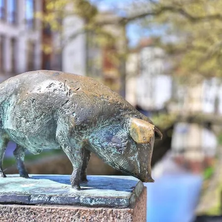 Ohlerich Speicher App_ 23 Otel